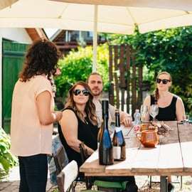 Vanuit Boedapest: Etyek Wijnproeverij Tour met 3-gangen maaltijd