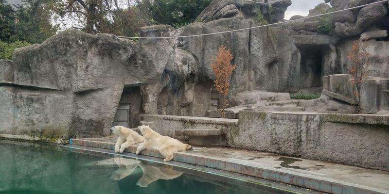 Boedapest Zoo