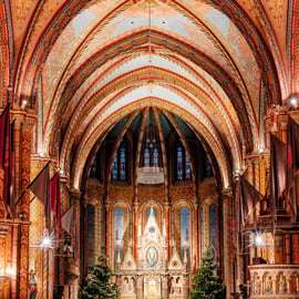 Buda Kasteel en Matthiaskerk Privétour