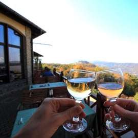 Vanuit Boedapest: Donau bocht & Szentendre tour met lunch