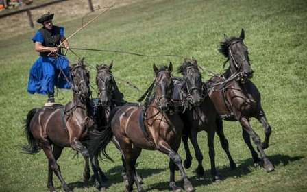 Vanuit Boedapest: Puszta Paardenshow en Bezoek aan het Platteland