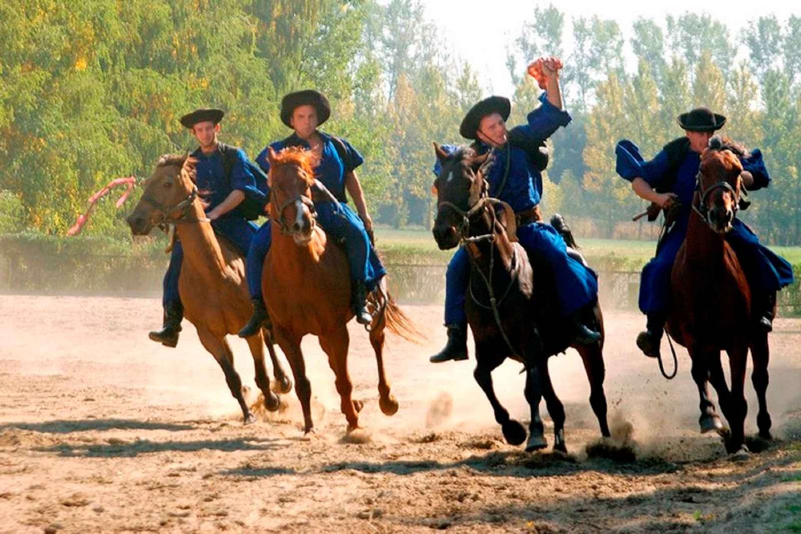 Vanuit Boedapest: Dagvullende tour door Puszta met lunch en show