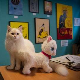 Boedapest: Kattenmuseum Boedapest toegangsbewijs