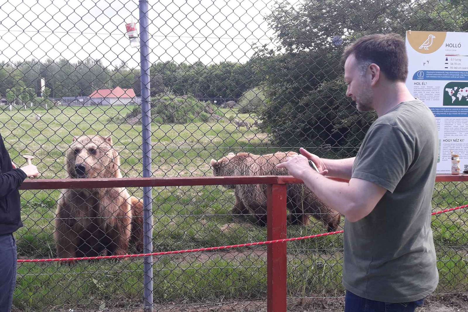 Boedapest: Vervoer & rondleiding door het beren- en wolvenreservaat