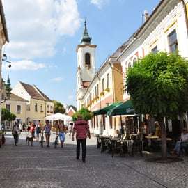 Vanuit Boedapest: Szentendre Halve Dag Tour