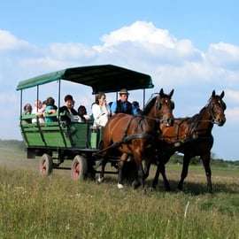 Vanuit Boedapest: Dagvullende tour door Puszta met lunch en show