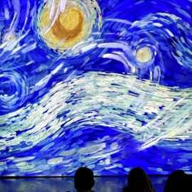 Boedapest: Van Gogh Immersive Exhibition Ticket