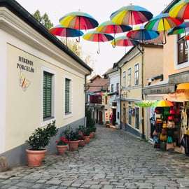 Vanuit Boedapest: Szentendre Kunstenaarsdorp Tour